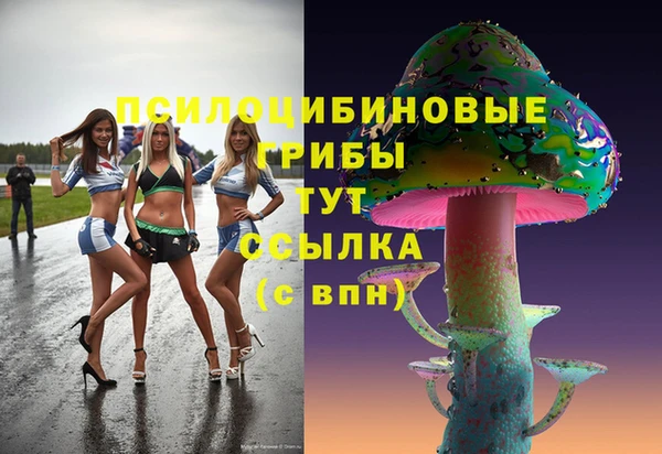 дурь Надым