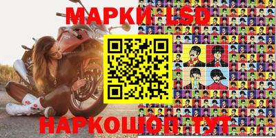 гидра Будённовск