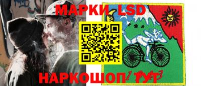 гидра Будённовск