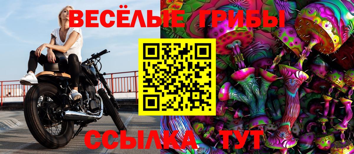 Псилоцибиновые грибы ЛСД  Сафоново  Галлюциногенные грибы мухоморы 