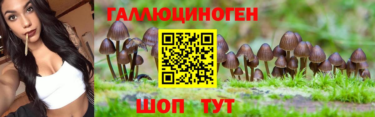 Сафоново  Галлюциногенные грибы Cubensis  Вход с VPN 